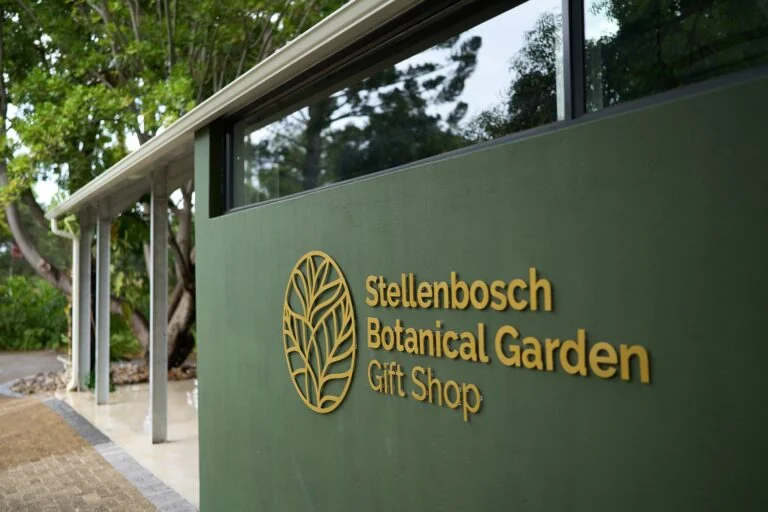 Green exterior of the Stellenbosch Botanical Garden gift shop beside a tree-lined pathway